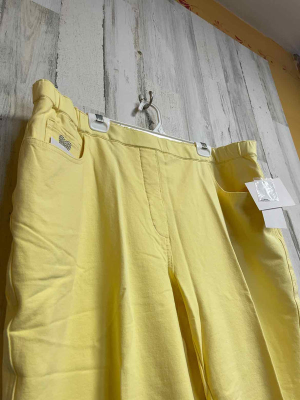 Size 2X Boutique Pants