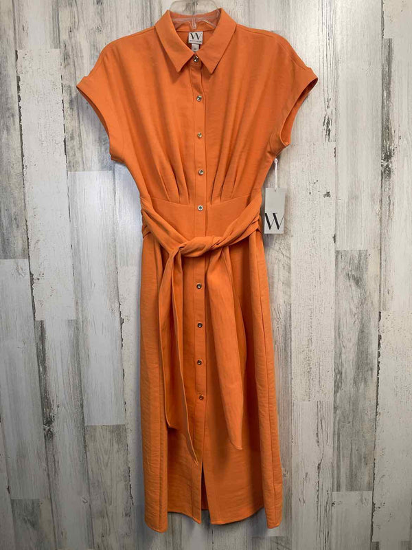Size XS Worthington Dress