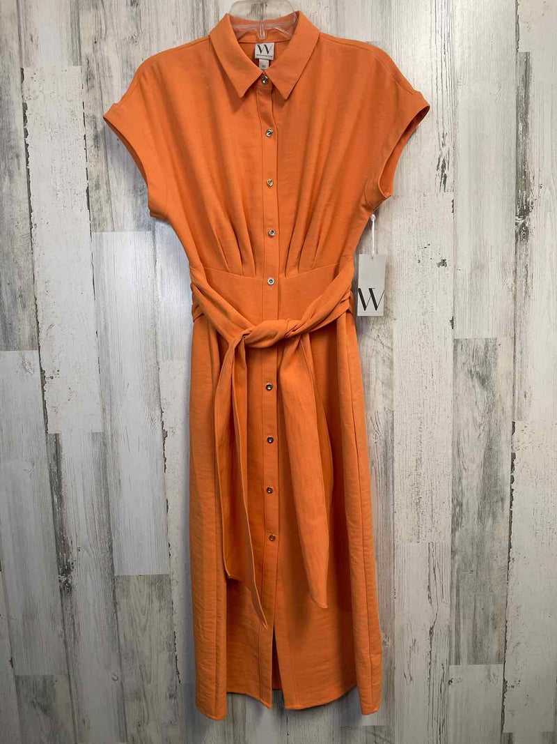 Size XS Worthington Dress
