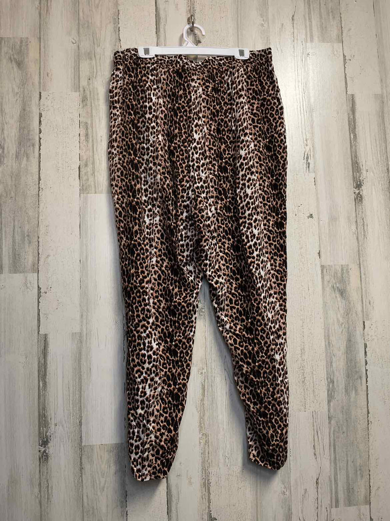 Size 22/24 Ellos Pants