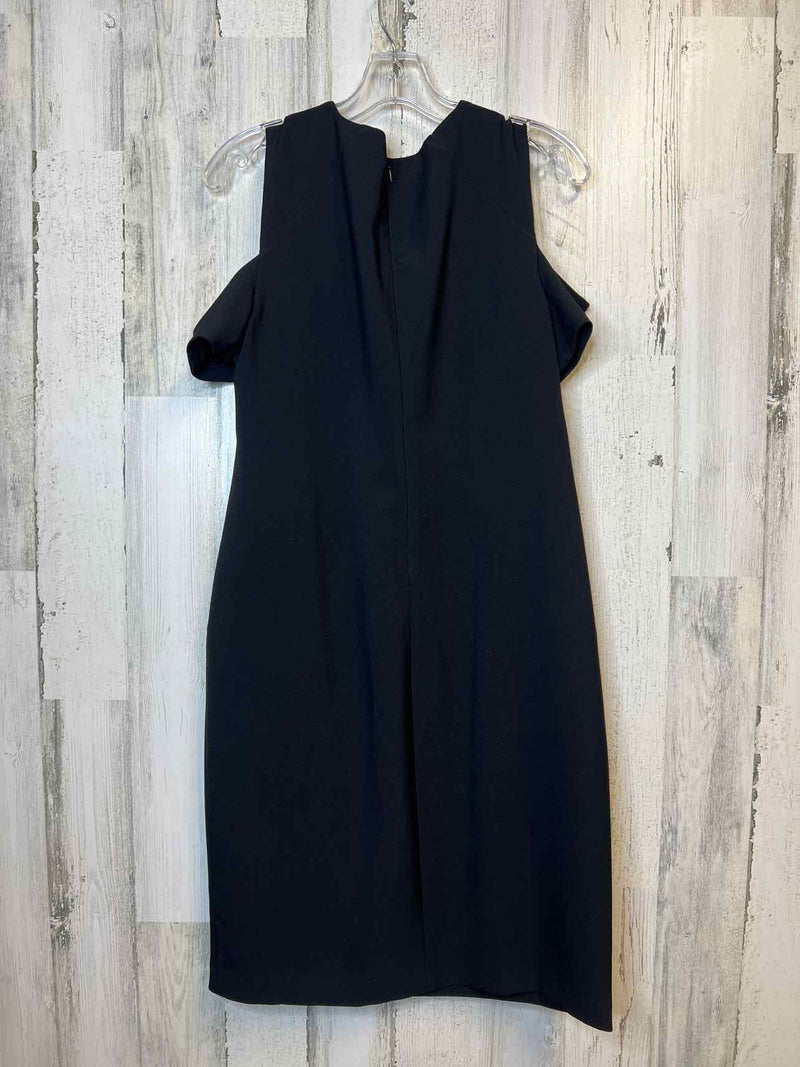Size 10 Chico's Dress