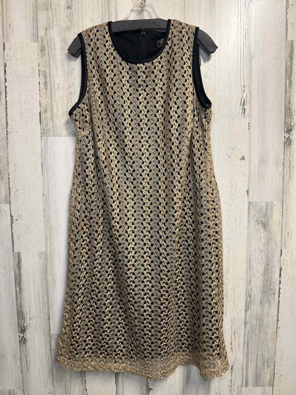 Size 14 Dressbarn Dress