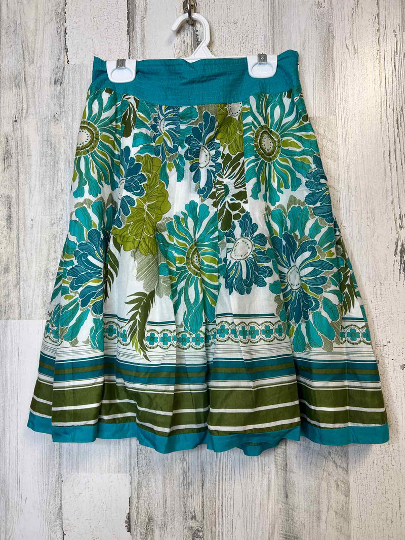 Size 2 Ann Taylor Skirt