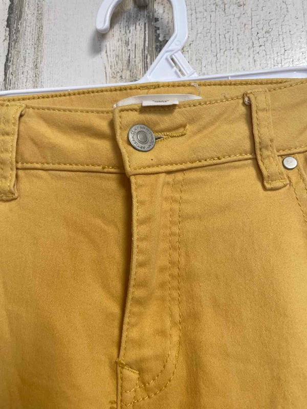 Size 8 Artisan NY Pants