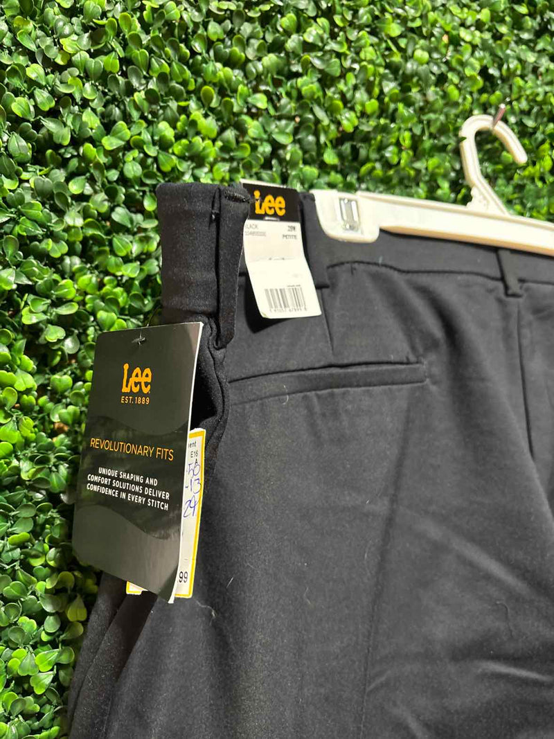 Size 28 Lee Pants