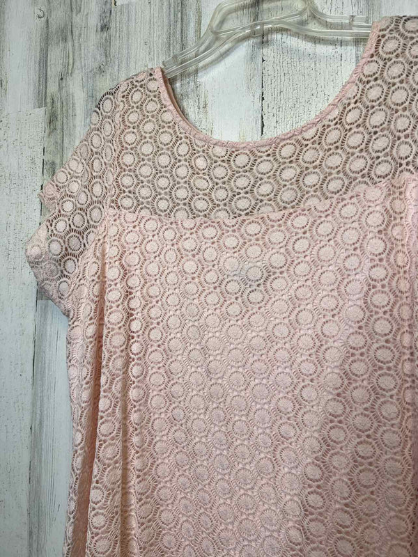 Size 22/24 Lane BRYANT Dress