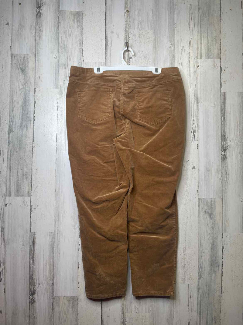 Size XL J.Jill Pants