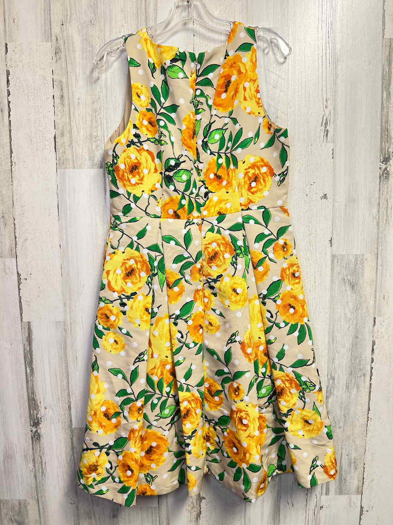 Size 12 New York & Company Dress