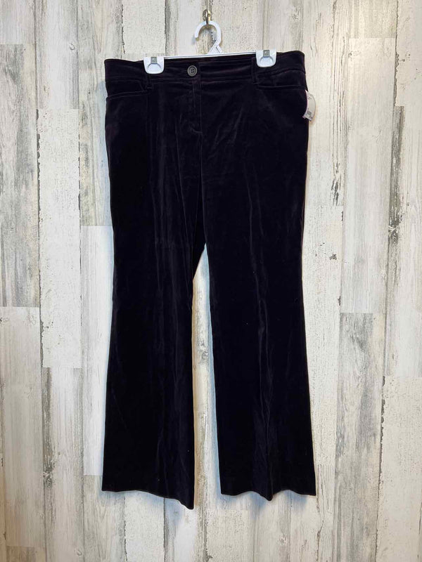 Size 12 Ann Taylor Loft Pants