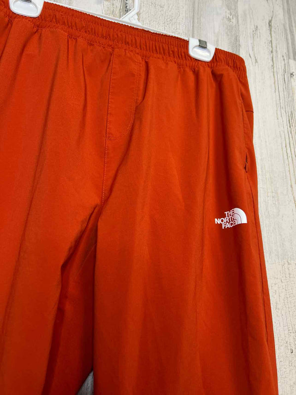 Size L The North Face Pants