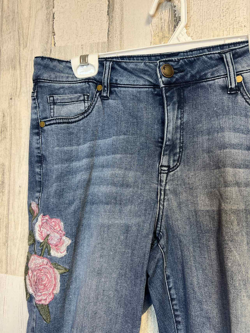 Size 14 Lane BRYANT Pants