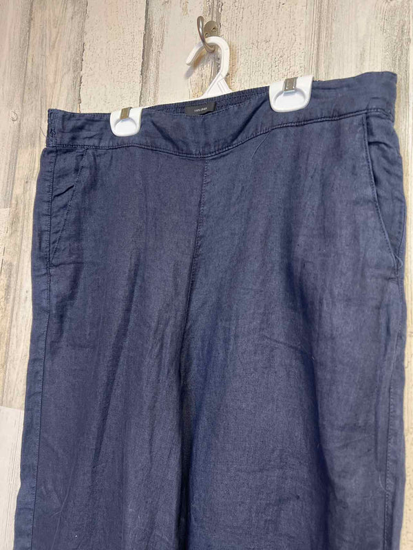 Size XL Tahari Pants