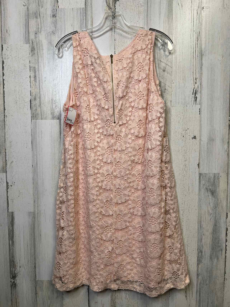 Size XL Ronni Nicole Dress