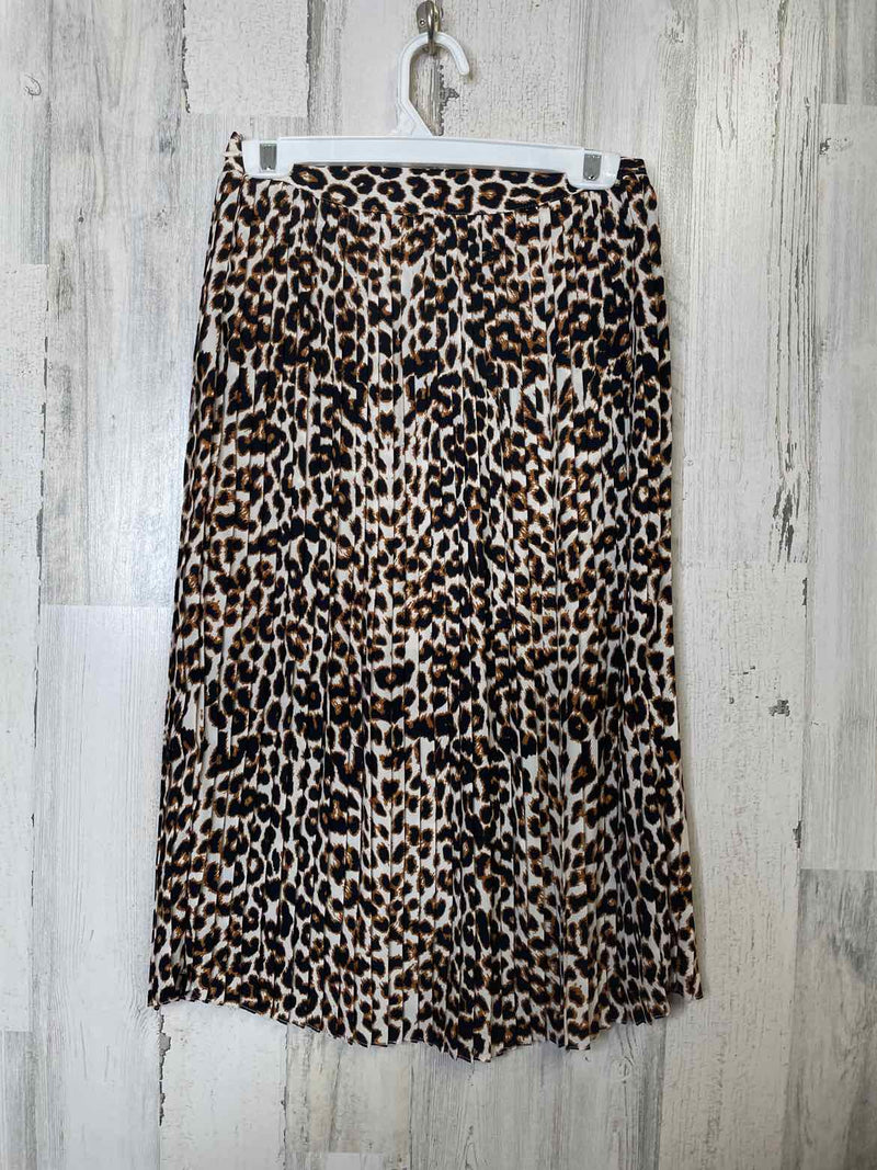 Size 0 Express Skirt