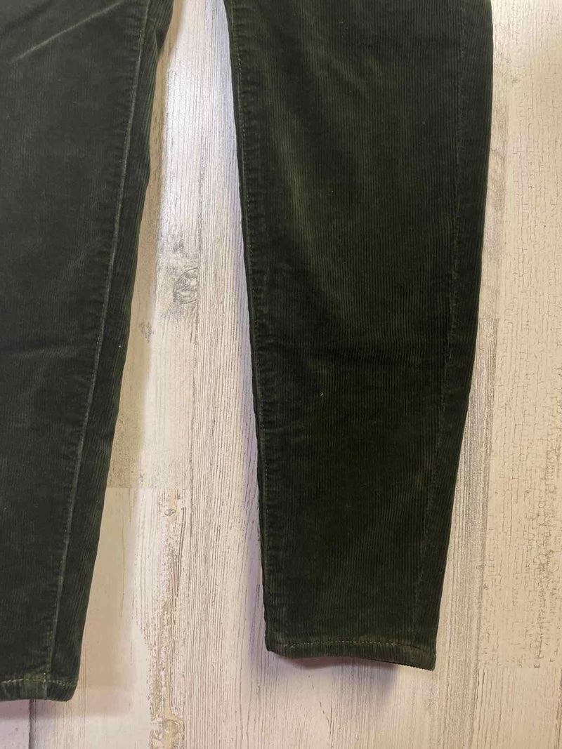 Size 2 American Eagle Pants