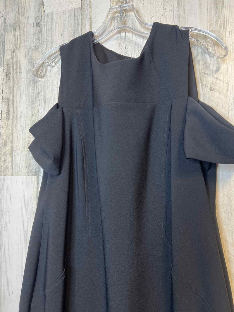 Size 10 Chico's Dress