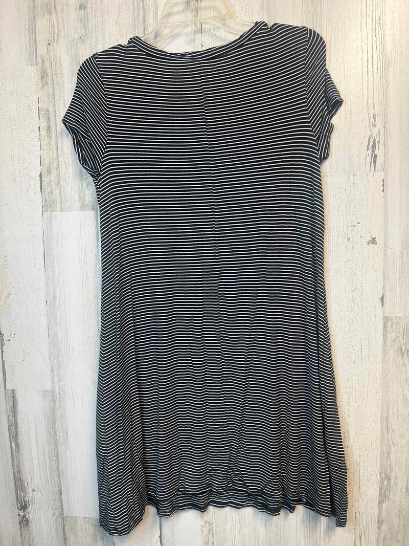 Size M Maurices Dress