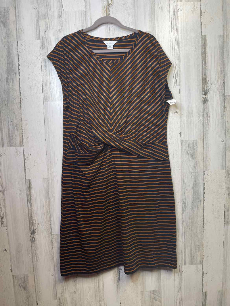 Size XXL Liz Claiborne Dress