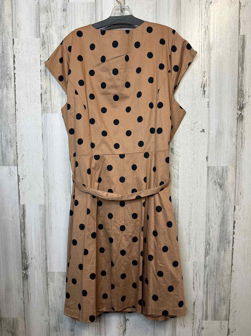 Size 28 Isaac Mizrahi Dress