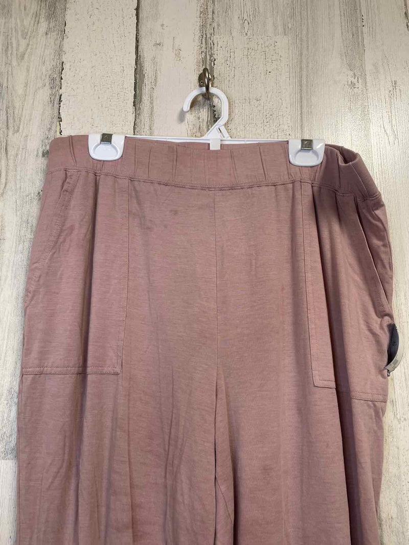 Size XL Fabletics Pants
