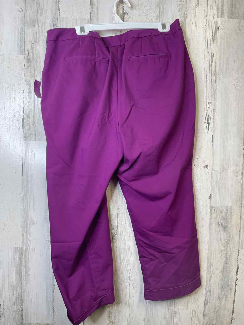 Size 18 Lane BRYANT Pants