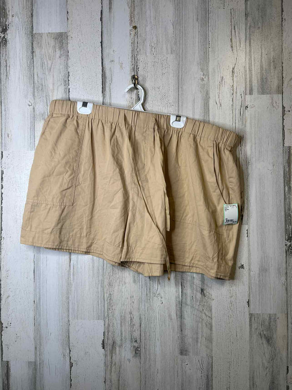 Size 4X Boutique Shorts
