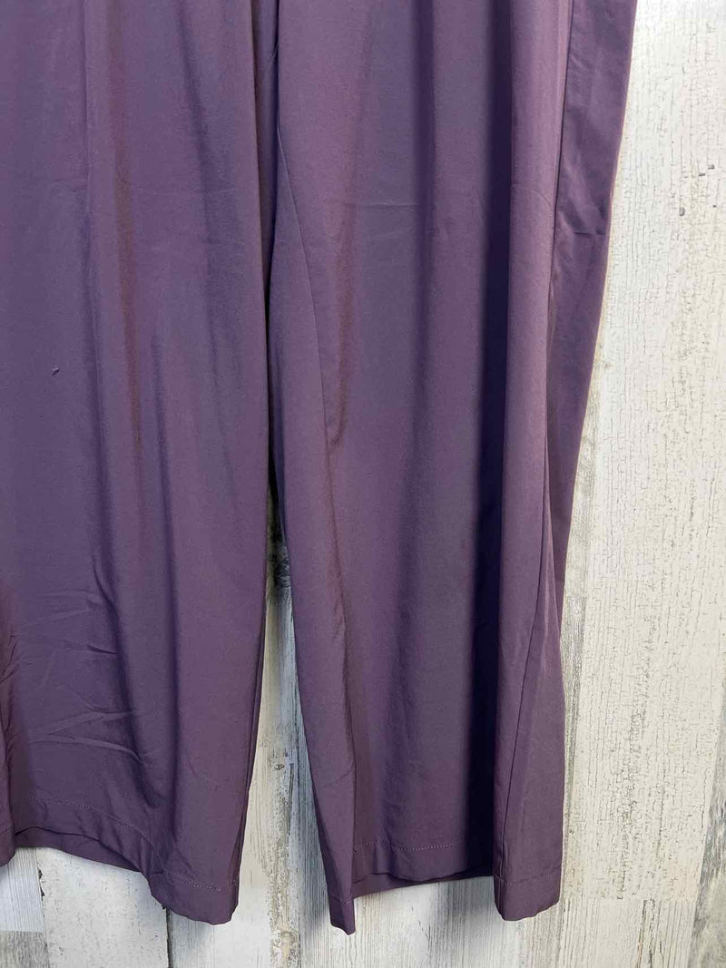 Size M Eddie Bauer Pants