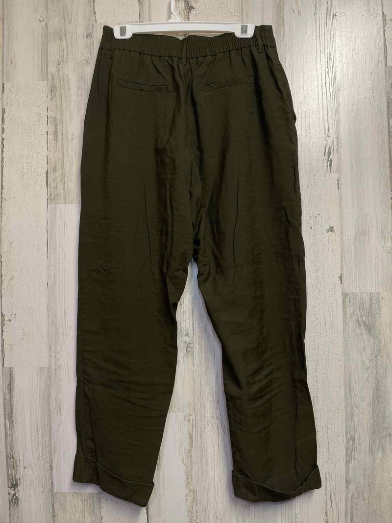 Size 10 A New Day Pants