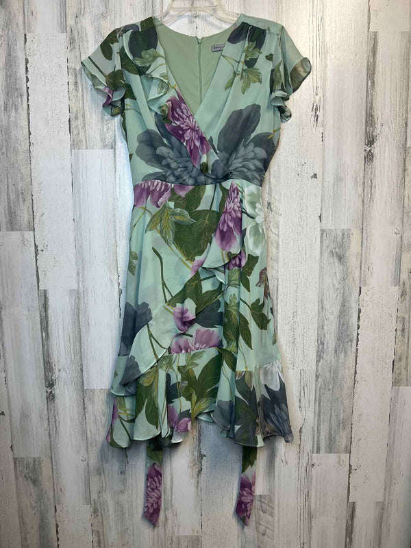Size 12 Danny and Nicole Dress