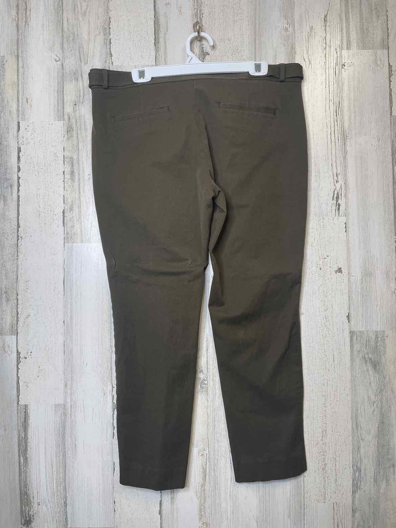 Size 14 Banana Republic Pants