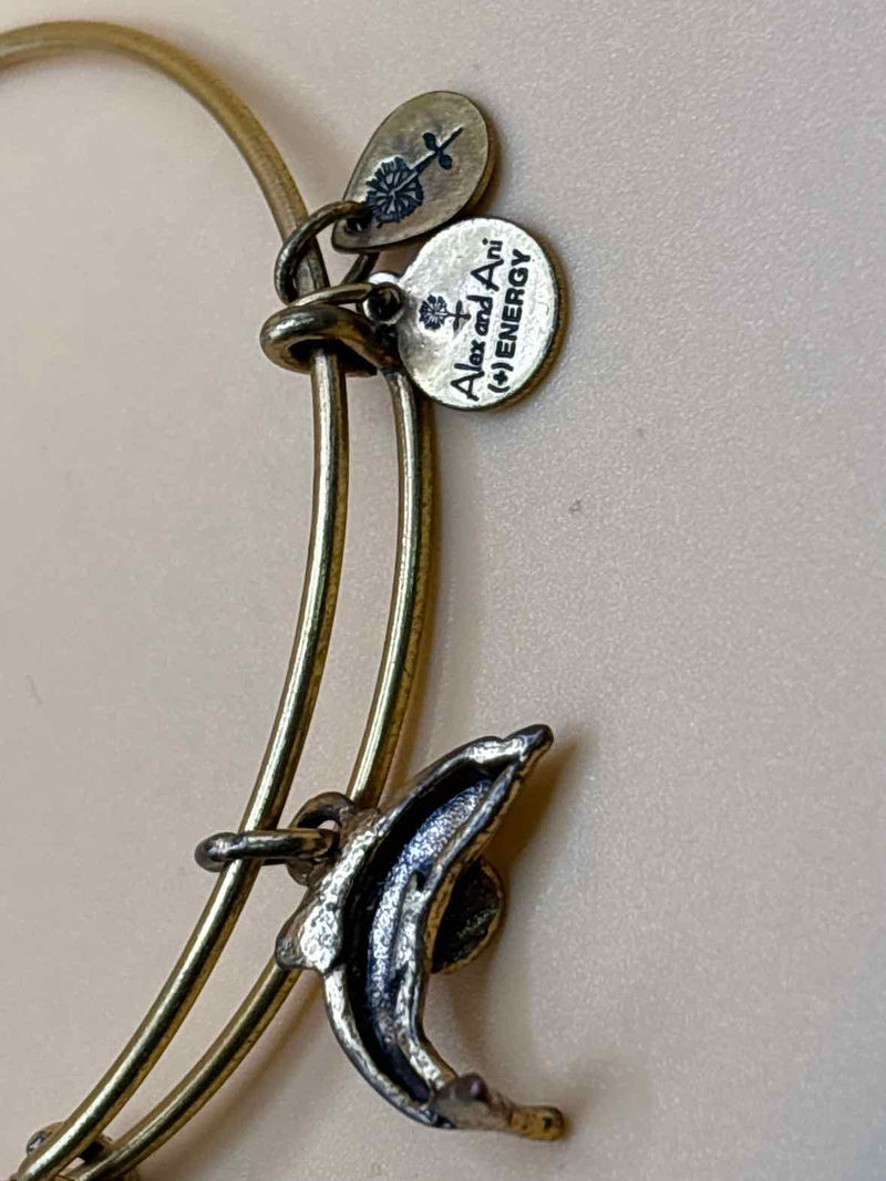 Alex and Ani Bracelet