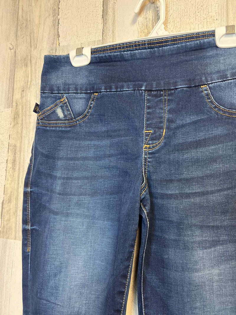 Size 12 Rock&Republic Pants