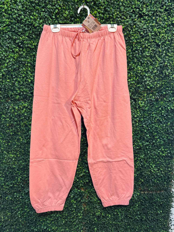 Size M Ascot and Hart Sweatpants