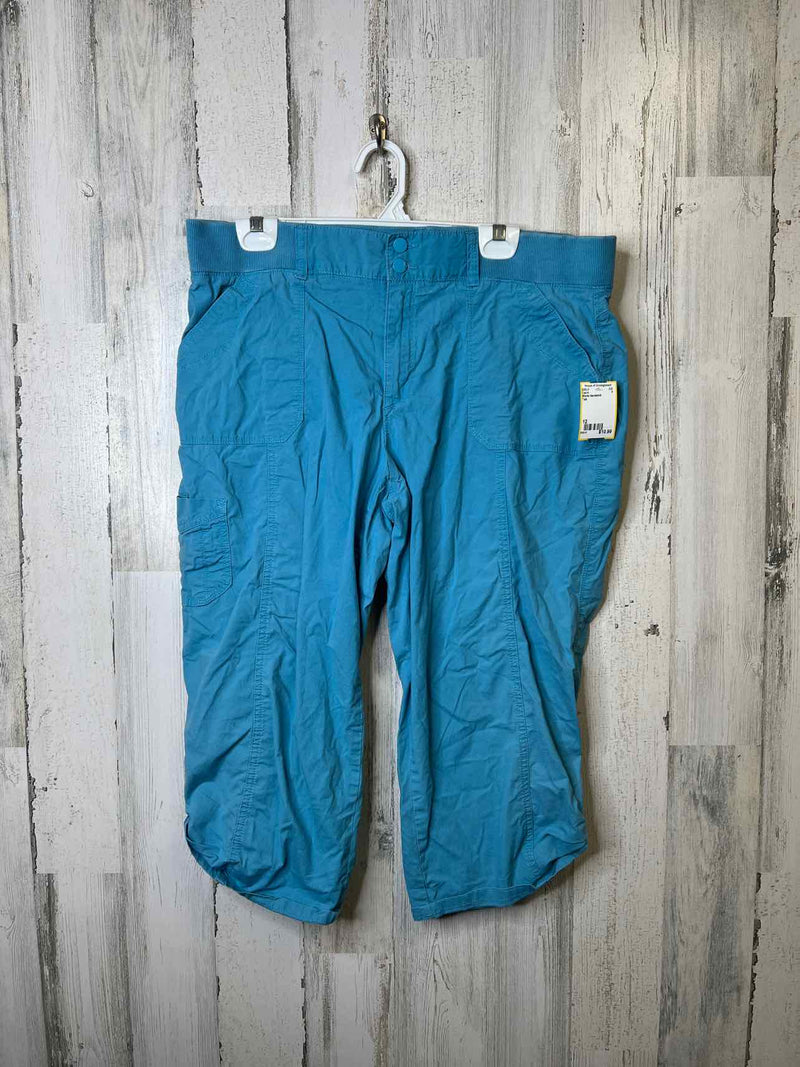 Size 12 Gloria Vanderbilt Capris