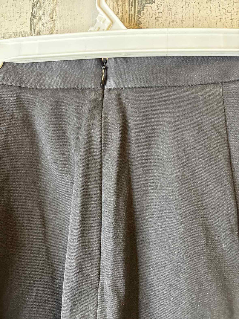 Size 10 Banana Republic Skirt