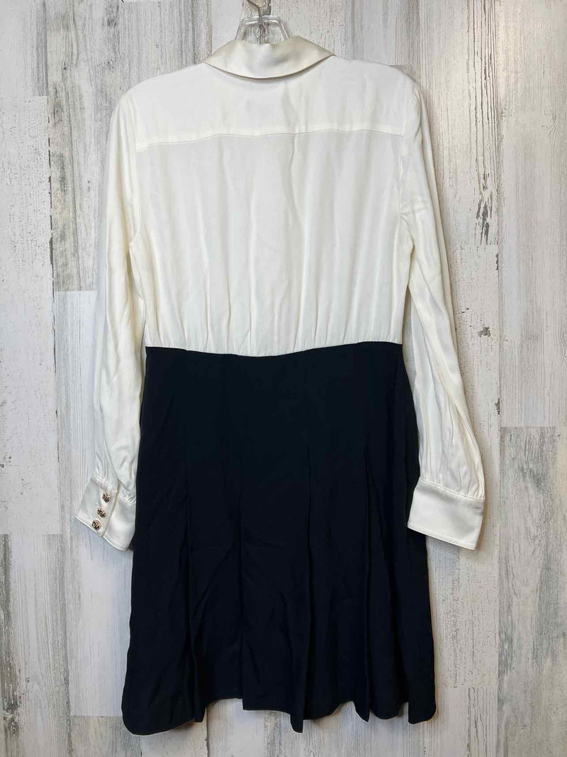 Size 4 J.Crew Dress
