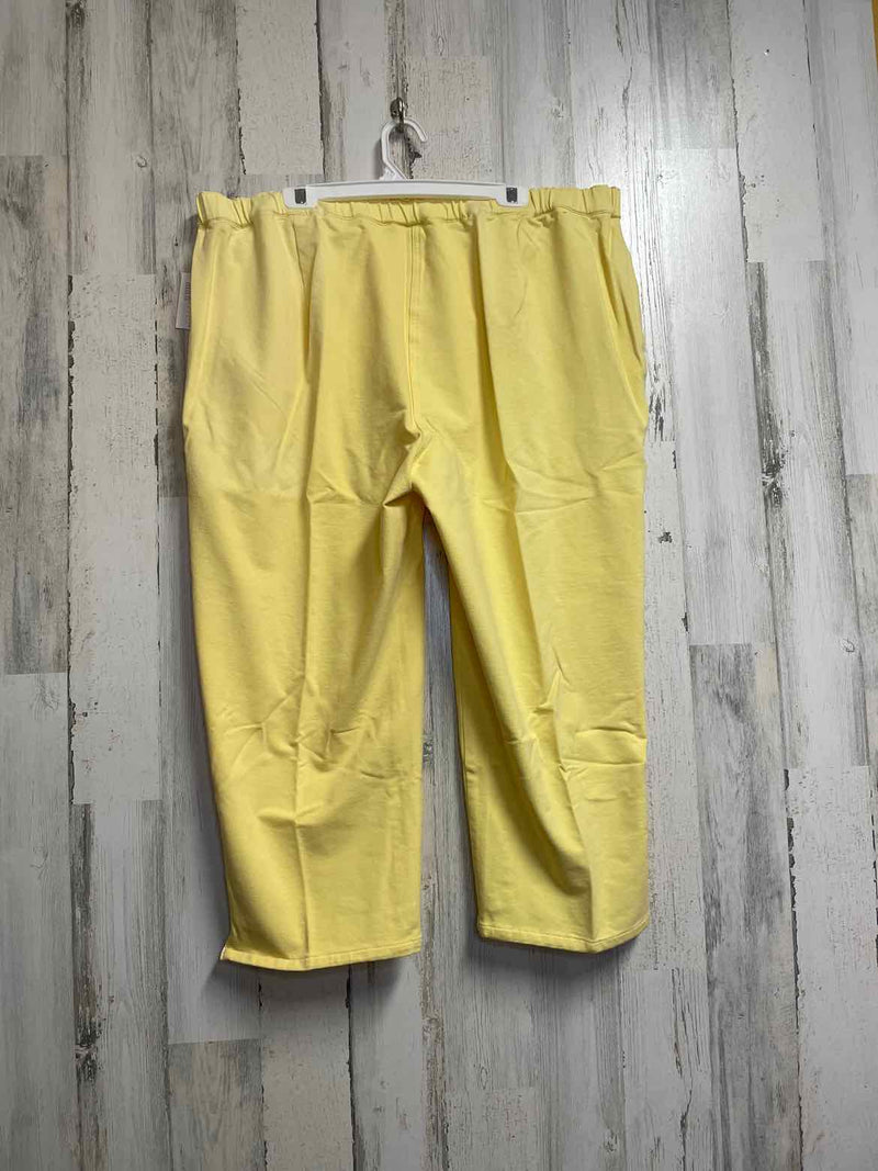 Size 2X Boutique Pants