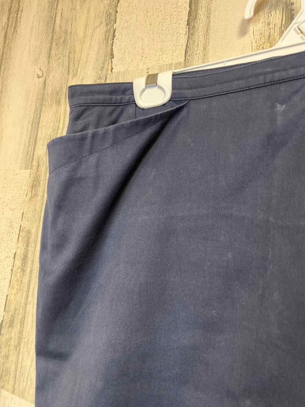 Size 44 agnes b. Skirt