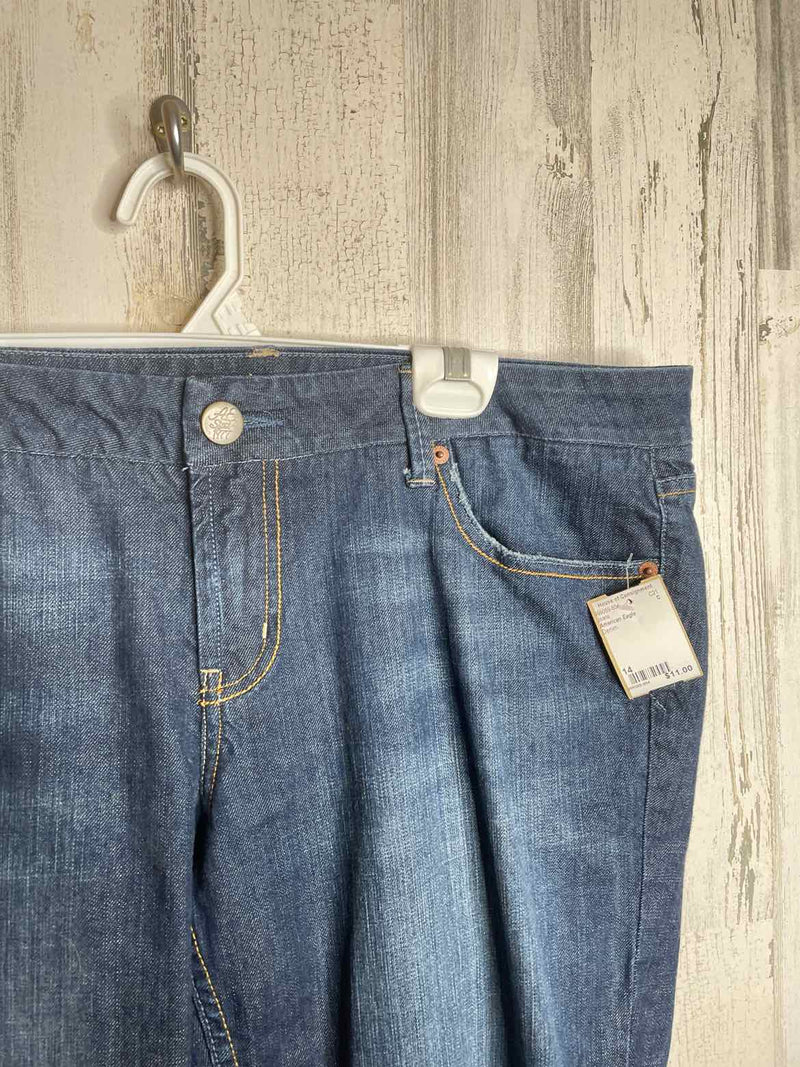 Size 14 American Eagle Jeans