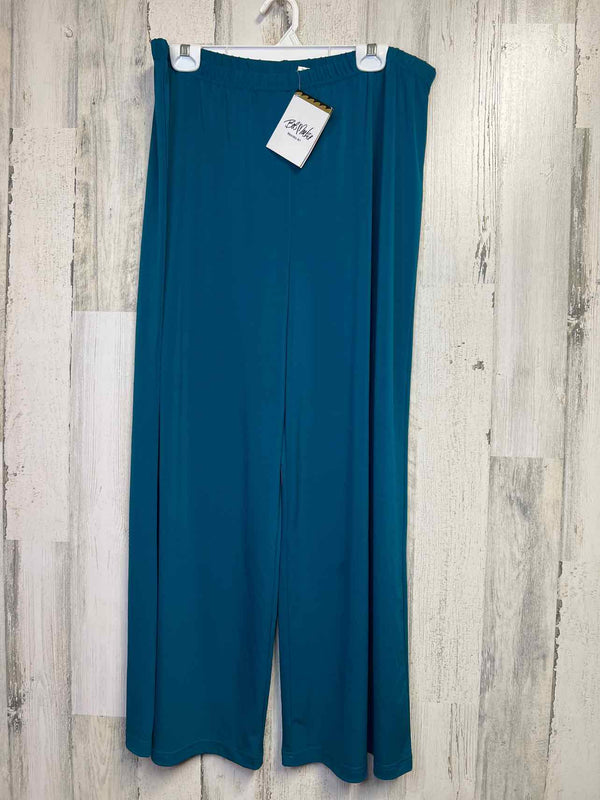 Size XL Bob Mackie Pants