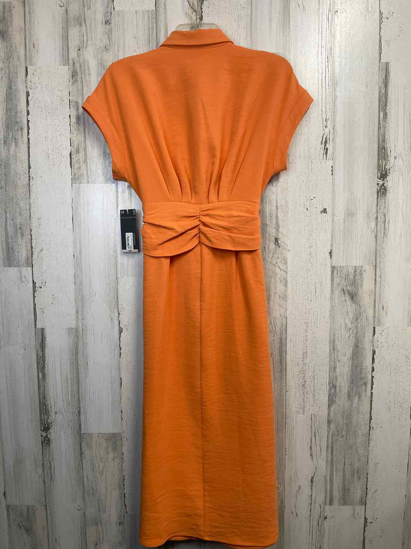 Size XS Worthington Dress