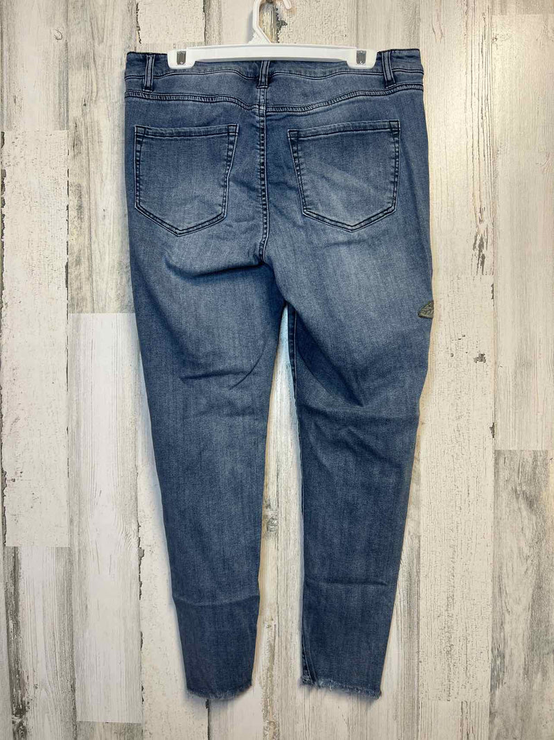 Size 14 Lane BRYANT Pants