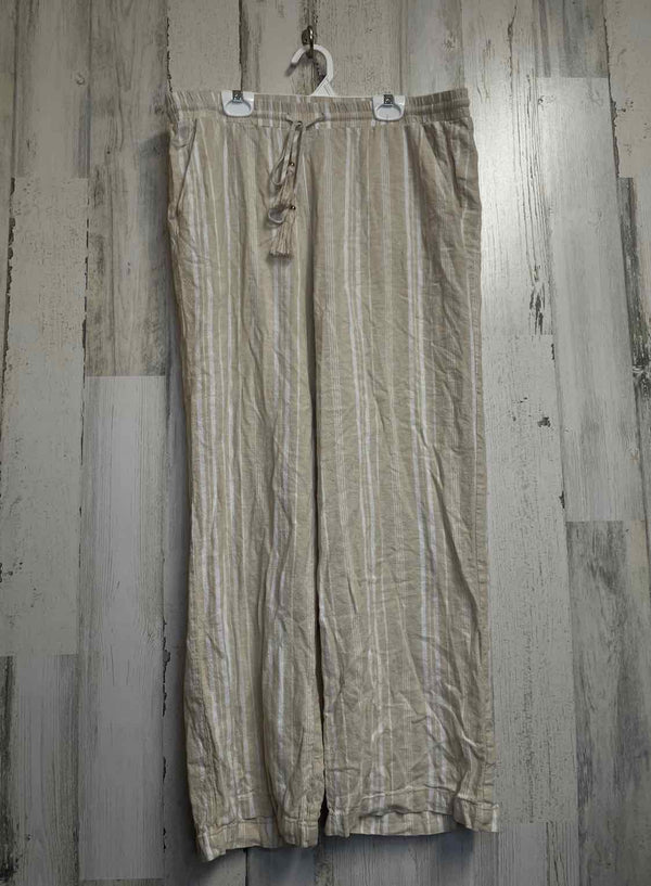 Size M Ellen Tracy Pants