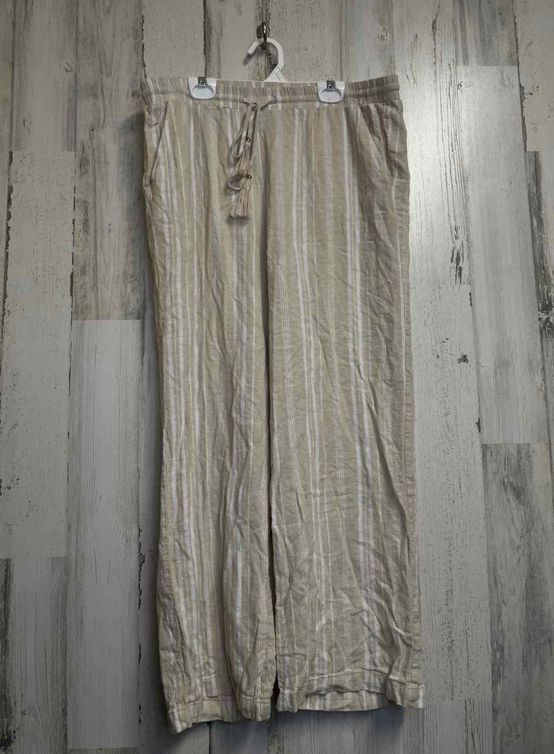 Size M Ellen Tracy Pants