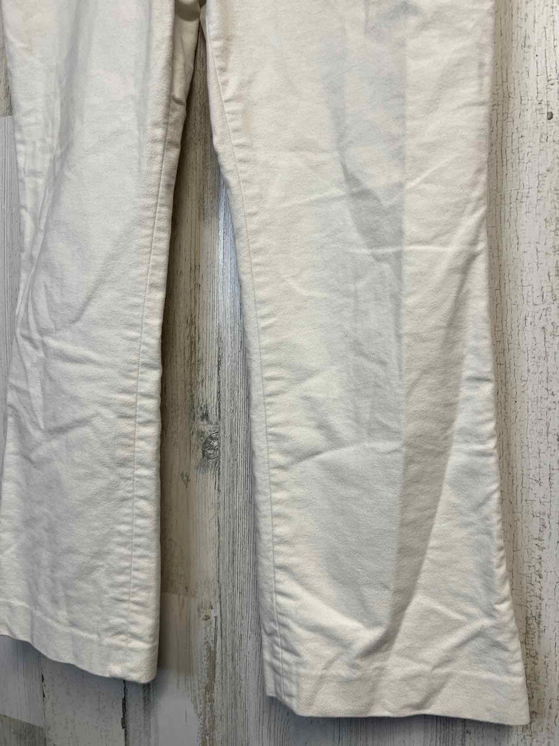 Size 10 Theory Pants