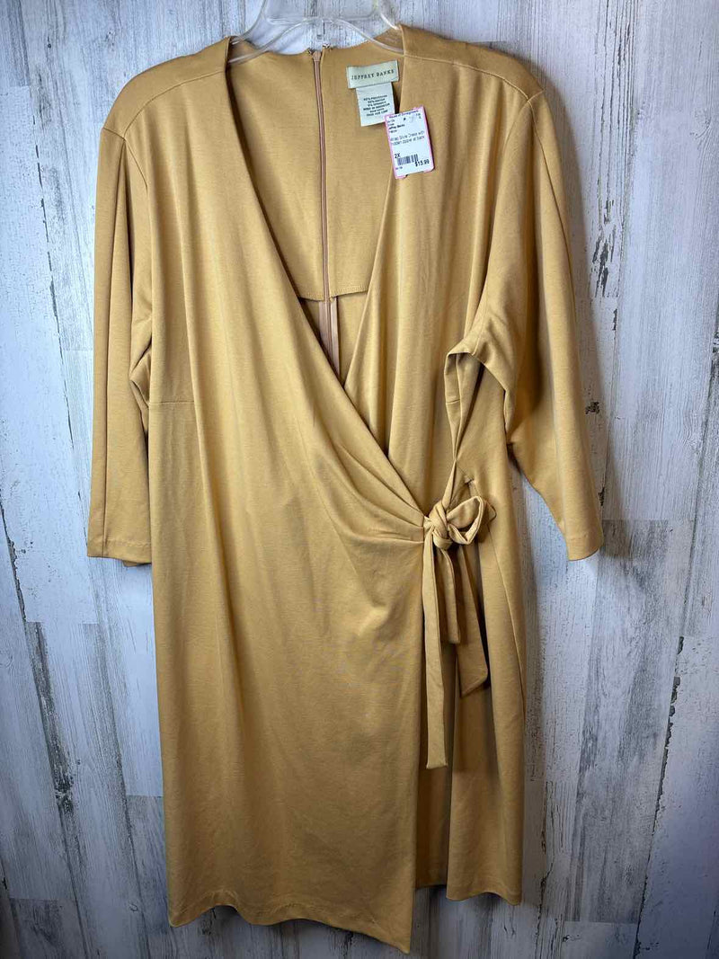 Size 2X Jeffrey Banks Dress