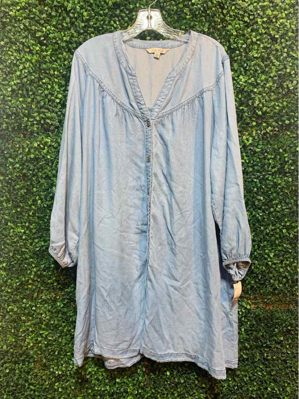 Size XL Pioneer Woman Dress