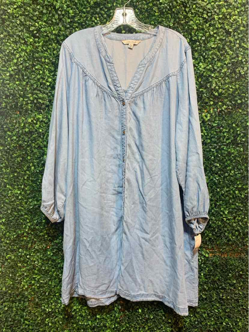 Size XL Pioneer Woman Dress