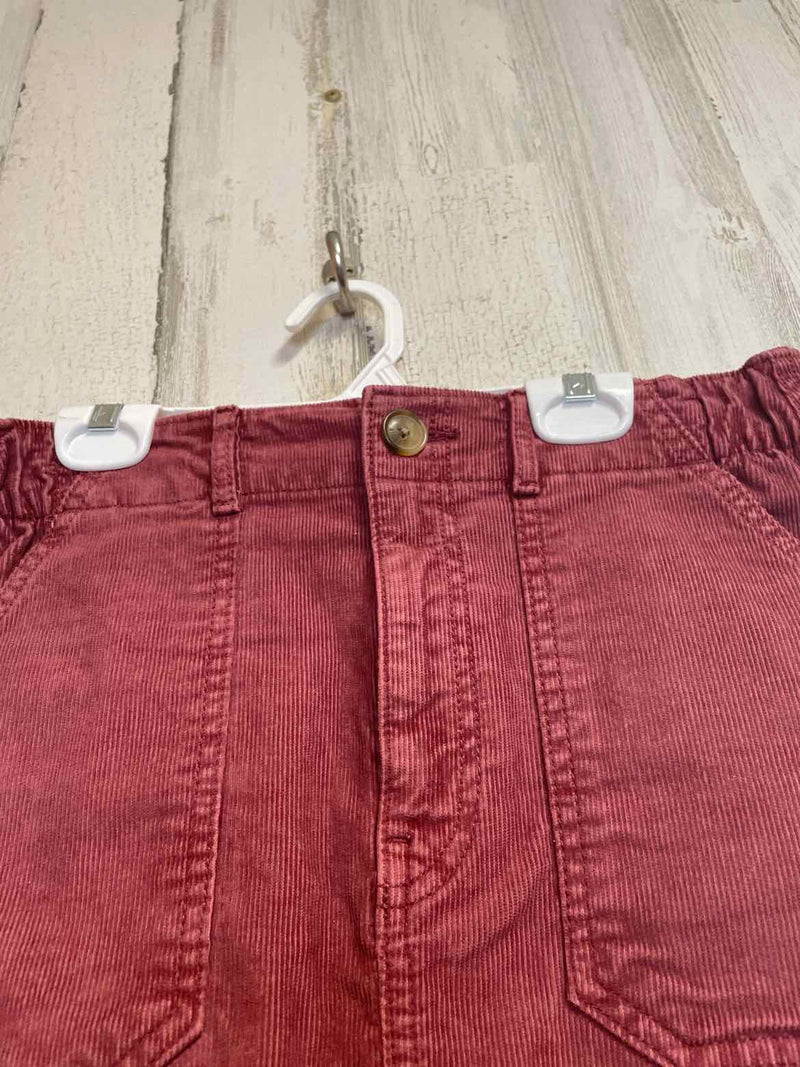 Size 2 American Eagle Skirt