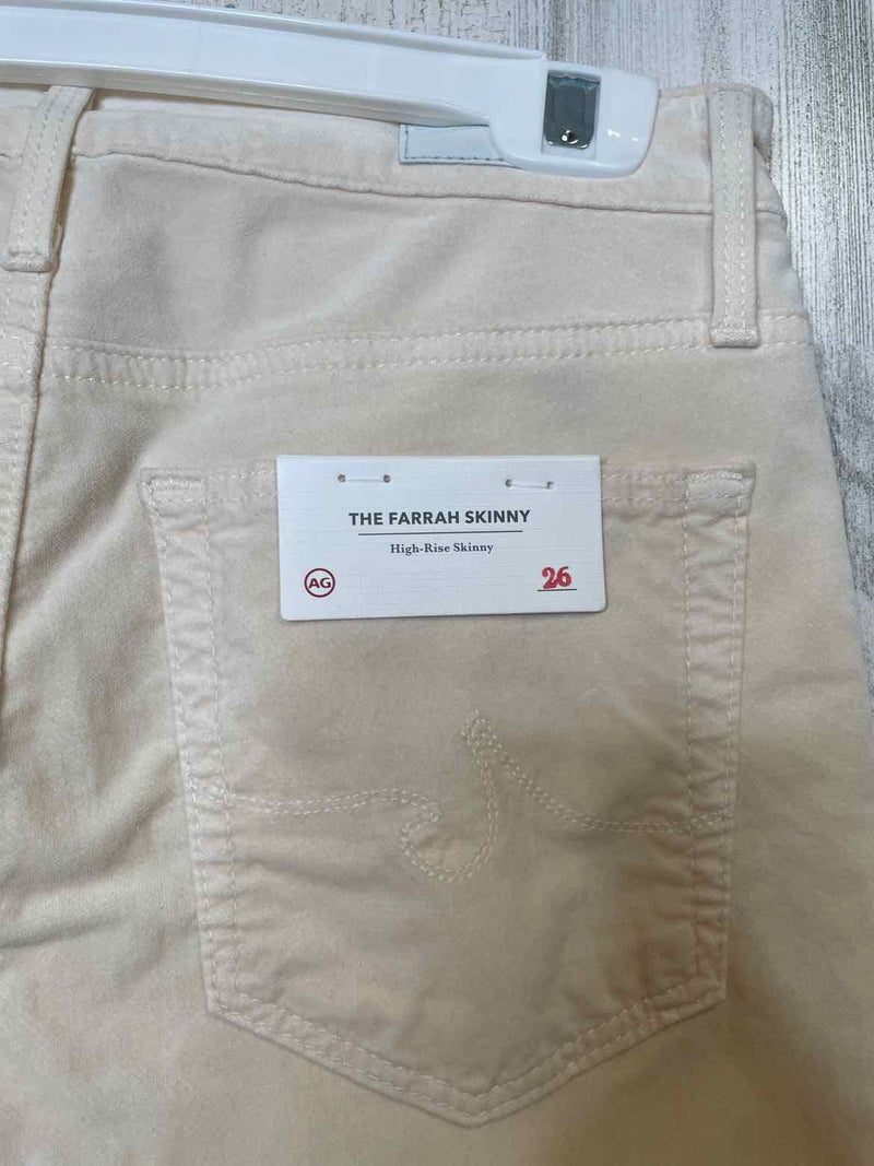 Size 2 Adriano Goldschmied Pants